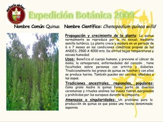 Expedición Botánica 2009QUINUA
