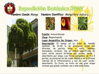 ResponsableYUDI  MARCELA AHUMADA BENAVIDESEdad:   14  añosCurso: 9- 2BibliografíaLinks: GoogleWiki pedíaHerbario virtual