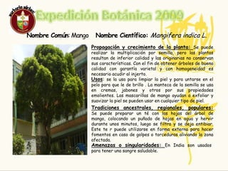 Expedición Botánica 2009EL MANGO