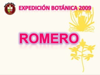 Expedición Botánica 2009Nombre Común: Mango    Nombre Científico: Mangifera indica L.Propagación y crecimiento de la planta: Se puede realizar la multiplicación por semilla, pero las plantas resultan de inferior calidad y las originarias no conservan sus características. Con el fin de obtener árboles de buena calidad con garantía varietal y con homogeneidad es necesario acudir al injerto.Usos: se la usa para limpiar la piel y para untarse en el pelo para que le de brillo . La manteca de la semilla se usa en cremas, jabones y otros por sus propiedades emolientes. Las mascarillas de mango ayudan a exfoliar y suavizar la piel se pueden usar en cualquier tipo de piel.Tradiciones ancestrales, regionales, populares: Se puede preparar un té con las hojas del árbol de mango, colocando un puñado de hojas en agua y hervir durante unos minutos, luego se filtra y se deja entibiar. Este te r puede utilizarse en forma externa para hacer fomentos en caso de golpes o torceduras aliviando la zona afectada. Planta CompletaAmenazas o singularidades: En India son usados para tener una sangre saludable.
