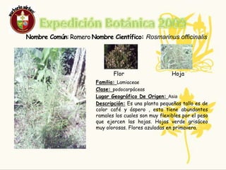 Responsables:Nombre : Cristian  Portilla  CórdobaEdad: 15Curso: 9-2Nombre  : Juan David BurbanoEdad: 14Curso: 9-2