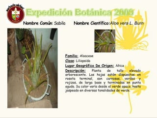 ResponsablesNombre :Ingri Benítez Gómez Edad:14Curso: 9-2Nombre :Jefferson Sneider  Gómez BenítezEdad:14Curso: 9-2