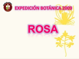 ExpediciónBotánica 2009Nombre Común: SabilaNombre Científico:Aloe vera L. BurnPropagación y crecimiento de la planta: Se propaga por medio de hijuelos o división de matas y además se esta buscando la manera de propagación masiva por medios in-Vitro. De la sábila se emplea toda la planta(raíz, tallo y hojas ).Usos:Quemaduras incluyendo que maduras causadas por el sol.  Por eso se usa en las cremas para después de tomar baños de sol. La sustancia gelatinosa contenida en la sábila es un humectante poderoso.  Ayuda a suavizar la piel y humectarla.Tradiciones ancestrales, regionales, populares: Es normal encontrar la planta colgada de puertas o ventanasAmenazas o singularidad: El jugo de la sábila contiene una multitud de beneficios al ingerirlo.