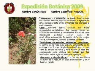 Expedición Botánica 2009ROSA
