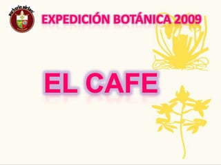 Expedición botánica 2009Nombre Común: Guayaba         Nombre Científico:Psidiumguajava LPropagación y crecimiento de la planta: Se propaga mediante semillas, pero la multiplicación por esqueje proporciona resultados rápidos. se puede mantener desde pleno sol a semisombra. Soporta algo el frío (-10/-12ºC).Usos: Es muy usada para hacer mascarillas ya que nutre, humecta y cuida la piel ya que contiene propiedades tonificantes y exfoliantes que actúan como antioxidante previniendo el envejecimiento. Con esta fruta se preparan jaleas, mermeladas, compotas, conservas, bocadillos, así como jugos y helados.Tradiciones ancestrales,regionales,populares: En nuestra región la guayaba tiene propiedades como antibióticos, anti diarreica, astringente y desinflamante, sirve para problemas digestivos ,catarro, tos, contra la caries y la hinchazón. Amenazas o singularidades: La Guayaba tiene 5 veces más vitamina C que la naranja.