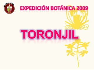 Expedición Botánica 2009Nombre Común: CaféNombre Científico: CoffeaarabicaPropagación y crecimiento: El arbusto o arbolillo de 4,6 a 6 m de altura en su madurez, tiene hojas aovadas, perennes, lustrosas, verdes que se mantienen durante tres a cinco años, y flores blancas y fragantes que solo permanecen abiertas durante unos días.Usos:ayuda a quitar las ojeras restablecer la piel rejuvenecer y sirve como exfoliante. Además, en la actualidad existen multitud de medicamentos con cafeína, tanto sola como asociada con otros principios activos como en el caso de los analgésicosTradiciones ancestrales, regionales, populares: el aroma de café sirve para levantar el animo por las mañanas y curar ciertos estados depresivos sirve para prevenir el cáncer de colon y recto unos de sus componentes desconocidos sirve para retrasar el envejecimiento del organismoAmenazas o singularidades: Las principales infecciones son: la roya, cercospora, llaga negra, antracnosis, phoma, y otras 