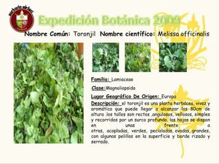 ResponsableNombre: Jennifer Tatiana BravoEdad:  15Curso:9-2