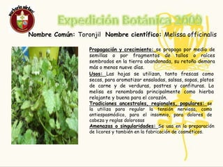 Expedición Botánica 2009TORONJIL