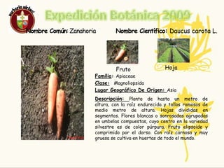 ResponsablesMelisa del Rosario Burbano Mutis. Edad:14Curso:9-2Links: www.google.com