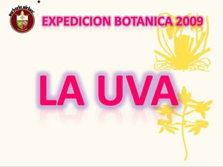Expedición Botánica 2009Nombre Común: Zanahoria             Nombre Científico: Daucus carota L.Propagación y crecimiento: Se realiza prácticamente durante todo el año. y se realiza principalmente por semillas. La zanahoria es muy exigente en suelo y tiene preferencia por los climas templados.Usos: antidiarréica, astringente, cicatrizante, diurética, remineralizarte y vitamínica. Indicada en convalecencia, diabetes, diarrea, envejecimiento cutáneo, gastritis, miopía progresiva, psoriasis, retinopatía y úlcera gastroduodenal. Nutre la piel y es útil para tratar el acné y prurito. Tradiciones ancestrales, regionales, populares: La conocían los griegos y romanos, algunos autores griegos la describen como afrodisiaco.Amenazas o Singularidad: esun alimento aconsejable en el tratamiento de las diarreas