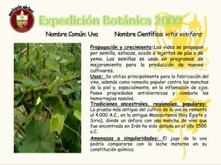 LA UVAEXPEDICION BOTANICA 2009