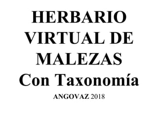 HERBARIO
VIRTUAL DE
MALEZAS
Con Taxonomía
ANGOVAZ 2018
 