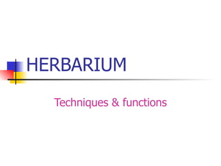 HERBARIUM Techniques & functions 