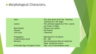  Morphological Characters.
Stem : The stem grows from the rhizomes,
Branches at a 450 angle
Leaves : The ultimate segments of the Leaves
are linear in shape
Root System : Fibrous root system
Flowers : No Flowers
Life Cycle : Perennial
Propagation : Reproductive via Spores
Crude Protein Level : 8% - 10%
Remarks : Has Ornamental Value & medicinal
Value (Intestinal worm)
Preferable Agro Ecological Zones : Wet, dry & intermediate zones
 