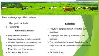 Animal nutrients.
There are two groups of farm animals.
I. Monogastric Animals.
II. Ruminants.
Monogastric Animals
 They have simple stomach.
 Enzymatic digestion is mainly occurred.
 Microbial digestion is comparatively loss.
 They intake mainly concentrates.
 They intake mainly concentrates.
 Ex : Rabbit, Pig, Poultry
Ruminants
 They have complex stomach which has four
chambers.
 They digest their food by fermenting in their
stomach.
 There are bacteria that work to break down the
tough stalks of the plants the ruminant animal has
eaten.
 Ex: Cattle ,Sheep
 