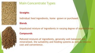 Main Concentrate Types
Straights
Individual feed ingredients, home –grown or purchased.
Blends
Unpolluted mixture of ingredients in varying degree of sophistication.
Compounds
Polluted mixtures of ingredients, generally well balanced and
mineralized, the suitability and feeding systems as well as relative
cost and convenience.
 