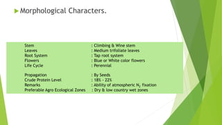  Morphological Characters.
Stem : Climbing & Wine stem
Leaves : Medium trifoliate leaves
Root System : Tap root system
Flowers : Blue or White color flowers
Life Cycle : Perennial
Propagation : By Seeds
Crude Protein Level : 18% - 22%
Remarks : Ability of atmospheric N2 fixation
Preferable Agro Ecological Zones : Dry & low country wet zones
 