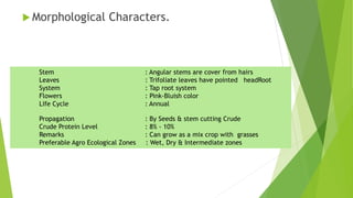  Morphological Characters.
Stem : Angular stems are cover from hairs
Leaves : Trifoliate leaves have pointed headRoot
System : Tap root system
Flowers : Pink-Bluish color
Life Cycle : Annual
Propagation : By Seeds & stem cutting Crude
Crude Protein Level : 8% - 10%
Remarks : Can grow as a mix crop with grasses
Preferable Agro Ecological Zones : Wet, Dry & Intermediate zones
 