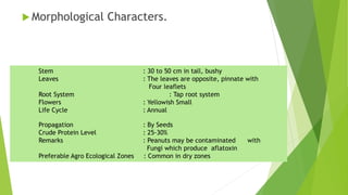  Morphological Characters.
Stem : 30 to 50 cm in tall, bushy
Leaves : The leaves are opposite, pinnate with
Four leaflets
Root System : Tap root system
Flowers : Yellowish Small
Life Cycle : Annual
Propagation : By Seeds
Crude Protein Level : 25-30%
Remarks : Peanuts may be contaminated with
Fungi which produce aflatoxin
Preferable Agro Ecological Zones : Common in dry zones
 