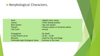  Morphological Characters.
Stem : Slightly hairy stems
Leaves : Three oblong leaflets
Root System : Tap root system
Flowers : Flowers yellow or Greenish yellow
Life Cycle : Annual
Propagation : By Seeds
Crude Protein Level : 22.6% - 23.8%
Remarks : Good for Hay and Silage
Preferable Agro Ecological Zones :Common in Dry zone
 