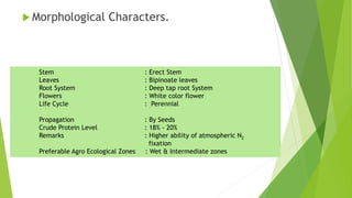  Morphological Characters.
Stem : Erect Stem
Leaves : Bipinoate leaves
Root System : Deep tap root System
Flowers : White color flower
Life Cycle : Perennial
Propagation : By Seeds
Crude Protein Level : 18% - 20%
Remarks : Higher ability of atmospheric N2
fixation
Preferable Agro Ecological Zones : Wet & Intermediate zones
 
