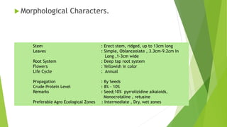  Morphological Characters.
Stem : Erect stem, ridged, up to 13cm long
Leaves : Simple, Oblanceolate , 3.3cm-9.2cm In
Long ,1-3cm wide
Root System : Deep tap root system
Flowers : Yellowish in color
Life Cycle : Annual
Propagation : By Seeds
Crude Protein Level : 8% - 10%
Remarks : Seed;10% pyrrolizidine alkaloids,
Monocrotaline , retusine
Preferable Agro Ecological Zones : Intermediate , Dry, wet zones
 
