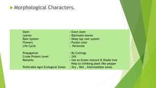  Morphological Characters.
Stem : Erect stem
Leaves : Bipinoate leaves
Root System : Deep tap root system
Flowers : Purple color
Life Cycle : Perennial
Propagation : By Cuttings
Crude Protein Level : 24%
Remarks : Use as Green manure & Shade tree
Help to climbing plant like pepper
Preferable Agro Ecological Zones : Dry , Wet , Intermediate zones
 