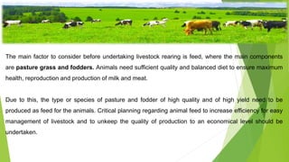Introduction.
The main factor to consider before undertaking livestock rearing is feed, where the main components
are pasture grass and fodders. Animals need sufficient quality and balanced diet to ensure maximum
health, reproduction and production of milk and meat.
Due to this, the type or species of pasture and fodder of high quality and of high yield need to be
produced as feed for the animals. Critical planning regarding animal feed to increase efficiency for easy
management of livestock and to unkeep the quality of production to an economical level should be
undertaken.
 