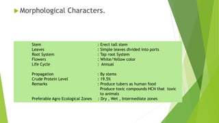  Morphological Characters.
Stem : Erect tall stem
Leaves : Simple leaves divided into ports
Root System : Tap root System
Flowers : White/Yellow color
Life Cycle : Annual
Propagation : By stems
Crude Protein Level : 19.5%
Remarks : Produce tubers as human food
Produce toxic compounds HCN that toxic
to animals
Preferable Agro Ecological Zones : Dry , Wet , Intermediate zones
 