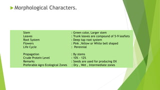  Morphological Characters.
Stem : Green color, Larger stem
Leaves : Trunk leaves are compound of 5-9 leaflets
Root System : Deep tap root system
Flowers : Pink ,Yellow or White bell shaped
Life Cycle : Perennial
Propagation : By stems
Crude Protein Level : 10% - 12%
Remarks : Seeds are used for producing Oil
Preferable Agro Ecological Zones : Dry , Wet , Intermediate zones
 