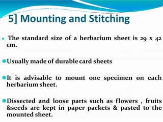 5] Mounting and Stitching
⚫ The standard size of a herbarium sheet is 29 x 42
cm.
⚫Usually made of durablecard sheets
⚫It is advisable to mount one specimen on each
herbarium sheet.
⚫Dissected and loose parts such as flowers , fruits
&seeds are kept in paper packets & pasted to the
mounted sheet.
 