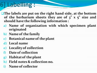6] Labelling :
The labels are put on the right hand side, at the bottom
of the herbarium sheets they are of 3” x 5” size and
should have the following information :
a) Name of organization with which specimen plant
originated
b) Nameof the family
c) Botanical nameof the plant
d) Local name
e) Localityof collection
f) Dateof collection
g) Habitatof the plant
h) Field notes & collection no.
i) Nameof collector
 