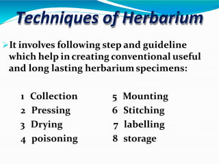 Techniques of Herbarium
It involves following step and guideline
which help in creating conventional useful
and long lasting herbarium specimens:
1 Collection
2 Pressing
3 Drying
4 poisoning
5 Mounting
6 Stitching
7 labelling
8 storage
 