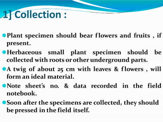 1] Collection :
⚫Plant specimen should bear flowers and fruits , if
present.
⚫Herbaceous small plant specimen should be
collected with roots orother underground parts.
⚫A twig of about 25 cm with leaves & flowers , will
form an ideal material.
⚫Note sheet’s no. & data recorded in the field
notebook.
⚫Soon after the specimens are collected, they should
be pressed in the field itself.
 