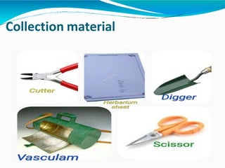 Collection material
 