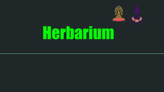 Herbarium
 
