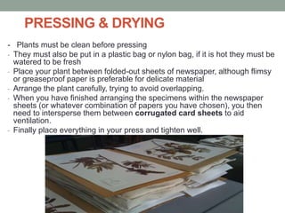 Herbarium | PPTX