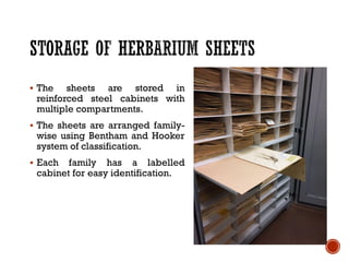 ▪ The sheets are stored in
reinforced steel cabinets with
multiple compartments.
▪ The sheets are arranged family-
wise using Bentham and Hooker
system of classification.
▪ Each family has a labelled
cabinet for easy identification.
 