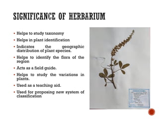 ▪ Helps to study taxonomy
▪ Helps in plant identification
▪ Indicates the geographic
distribution of plant species.
▪ Helps to identify the flora of the
region
▪ Acts as a field guide.
▪ Helps to study the variations in
plants.
▪ Used as a teaching aid.
▪ Used for proposing new system of
classification
 