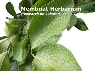 Page 1
Membuat Herbarium
(Research on Lebaran)
 