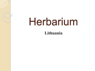 Herbarium
Lithuania
 
