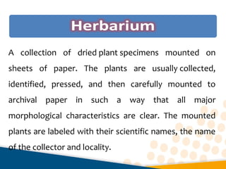 A collection of dried plant specimens mounted on
sheets of paper. The plants are usually collected,
identified, pressed, and then carefully mounted to
archival paper in such a way that all major
morphological characteristics are clear. The mounted
plants are labeled with their scientific names, the name
of the collector and locality.
 