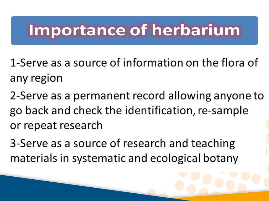 Herbarium and Botanical Garden