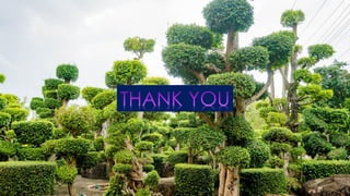 Herbarium Group2 Room825