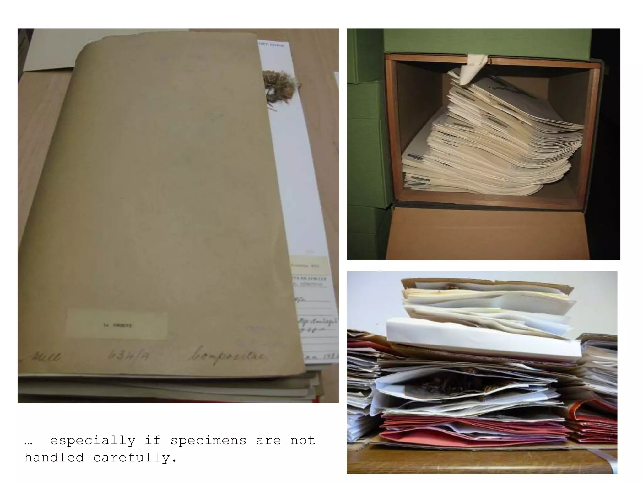 … especially if specimens are not
handled carefully.
 