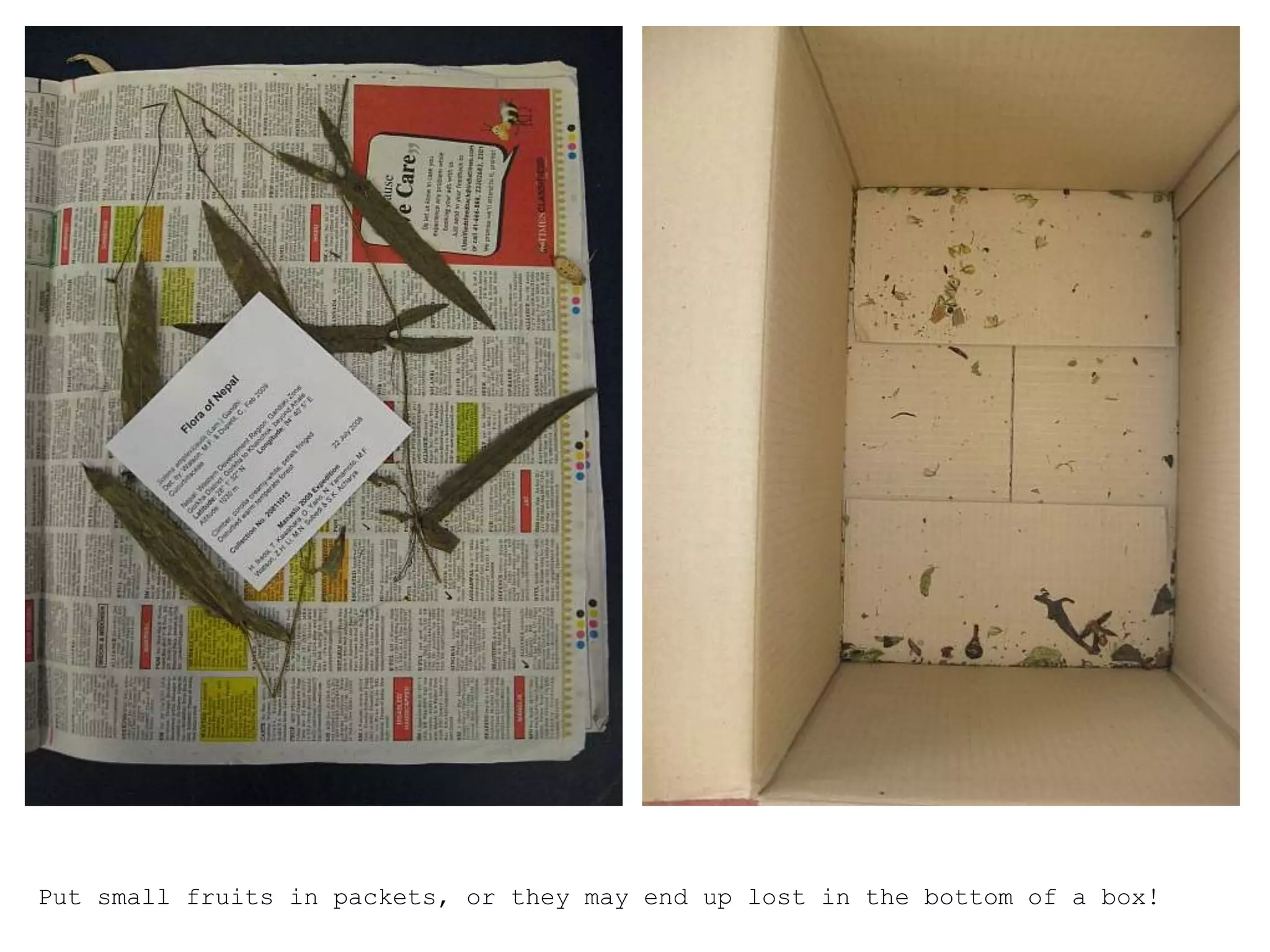 Put small fruits in packets, or they may end up lost in the bottom of a box!
 