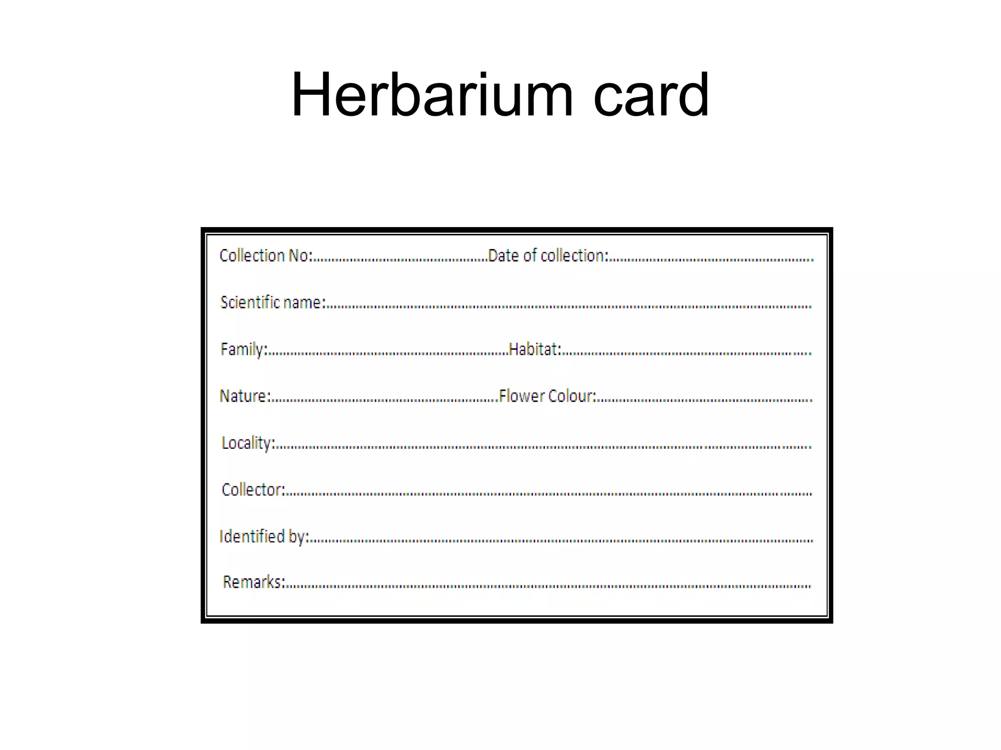 Herbarium card
 