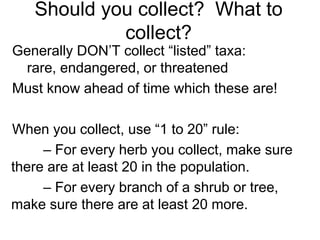 Should you collect? What to
collect?
Generally DON’T collect “listed” taxa:
rare, endangered, or threatened
Must know ahea...