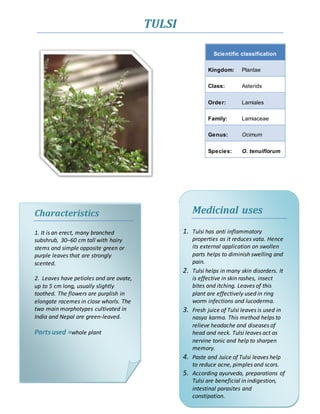 Herbarium of INDIA | DOCX