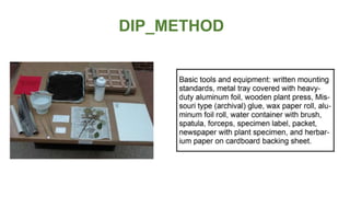 HERBARIUM SHEET MOUNTS.pptx